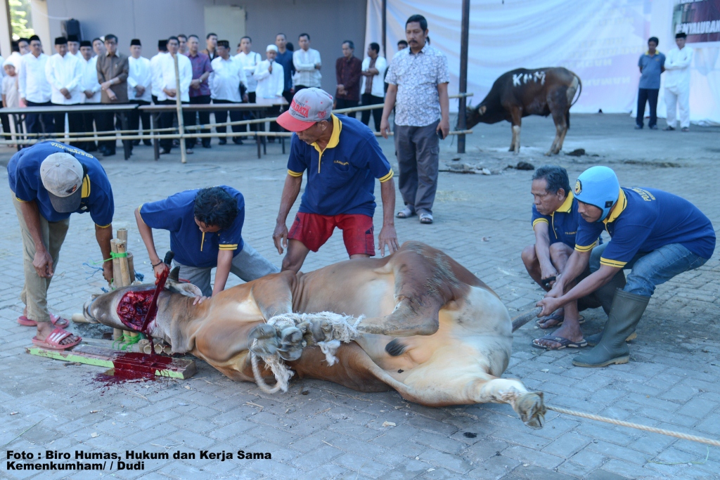 20160912 Qurban Kemenkumham 4