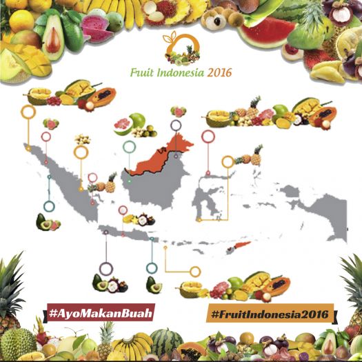 20161117 - NT area produksi buah indonesia