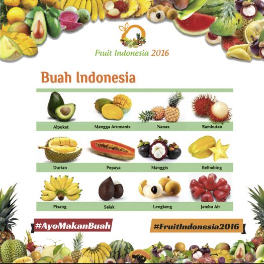 20161117 - NT buah indonesia 1
