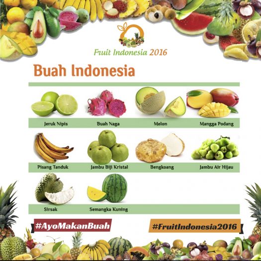 20161117 - NT buah indonesia 2