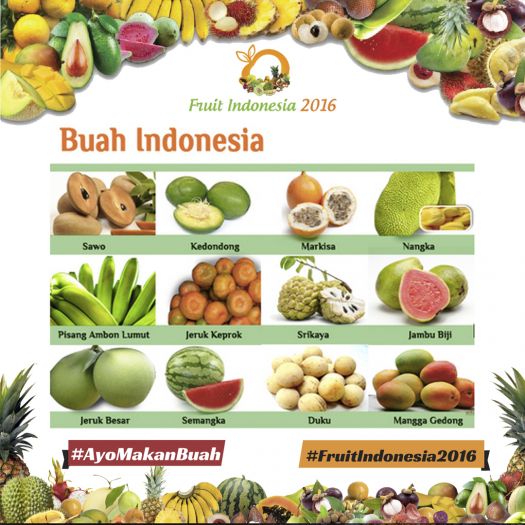 20161117 - NT buah indonesia 3