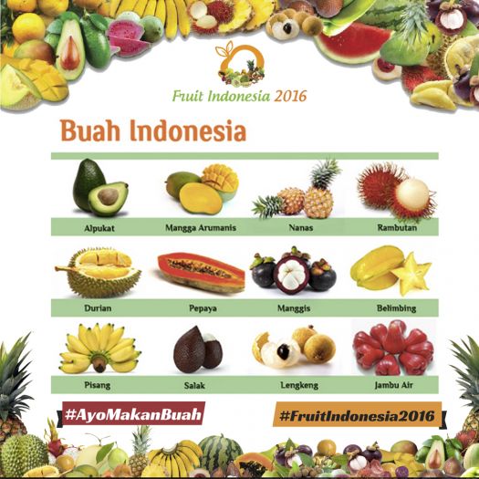 20161117 - NT buah indonesia 4