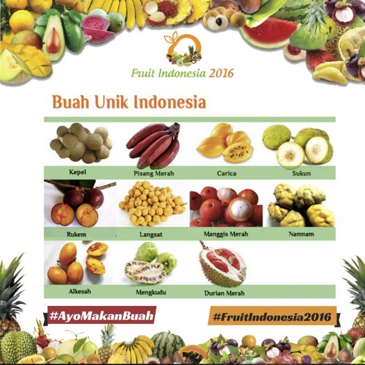20161117 - NT buah unik indonesia
