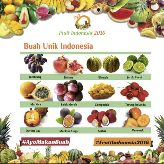 20161117 - NT buah unik indonesia 2