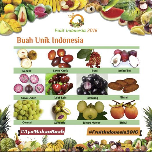 20161117 - NT buah unik indonesia 3